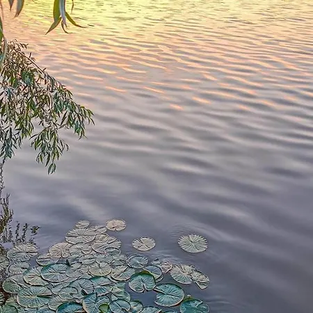 Appartement 3 In Altstadt In
