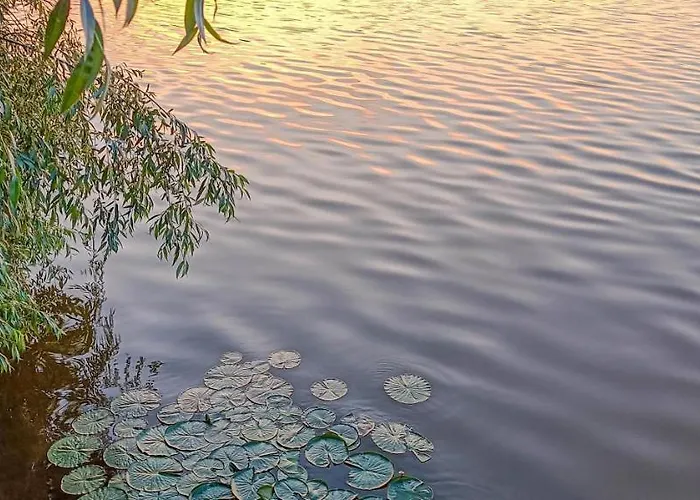 Apartamento 3 In Altstadt In